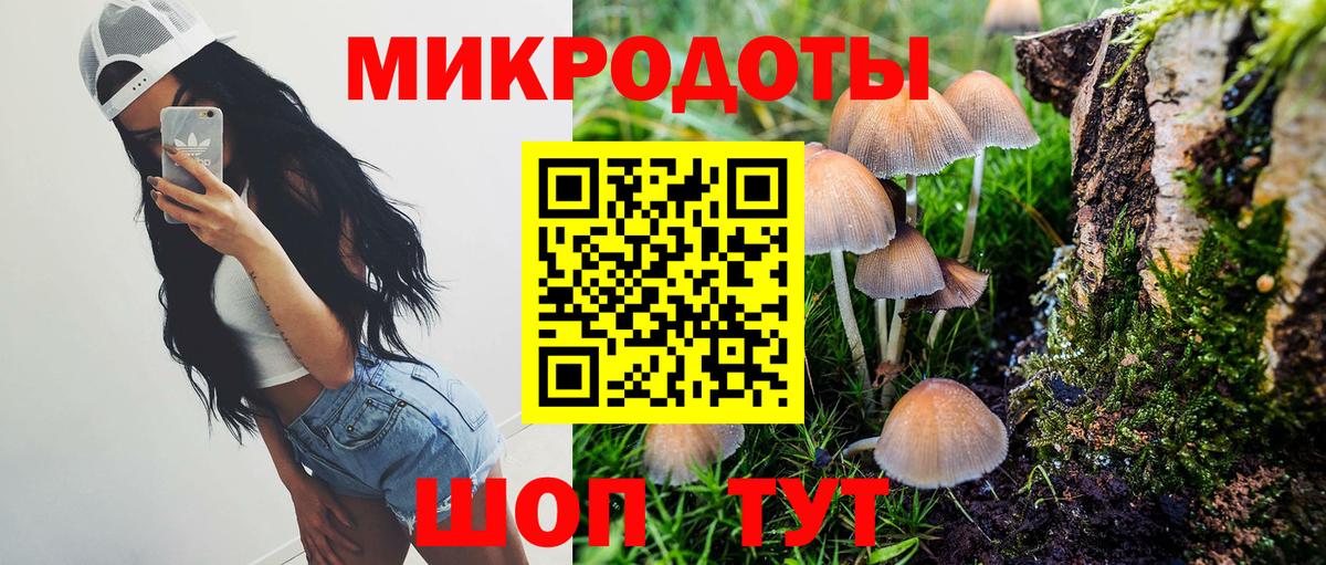 Надым  магазин  наркотиков  Вход с VPN  Псилоцибиновые грибы мицелий 